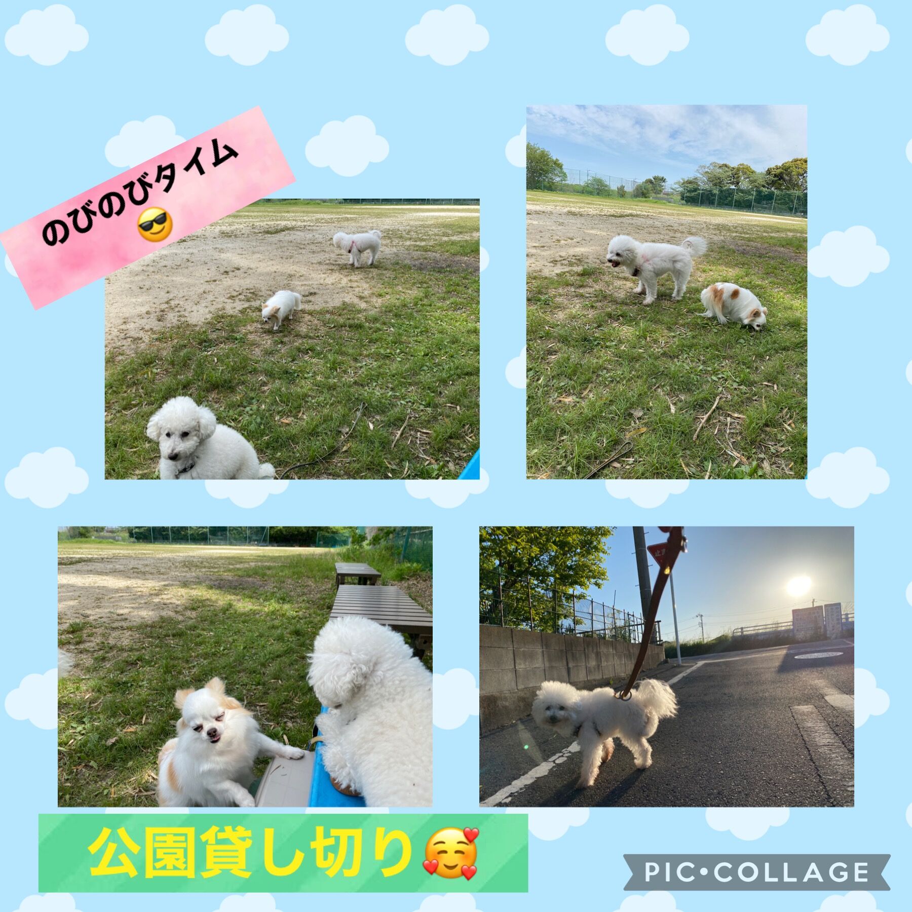 ペットホテル