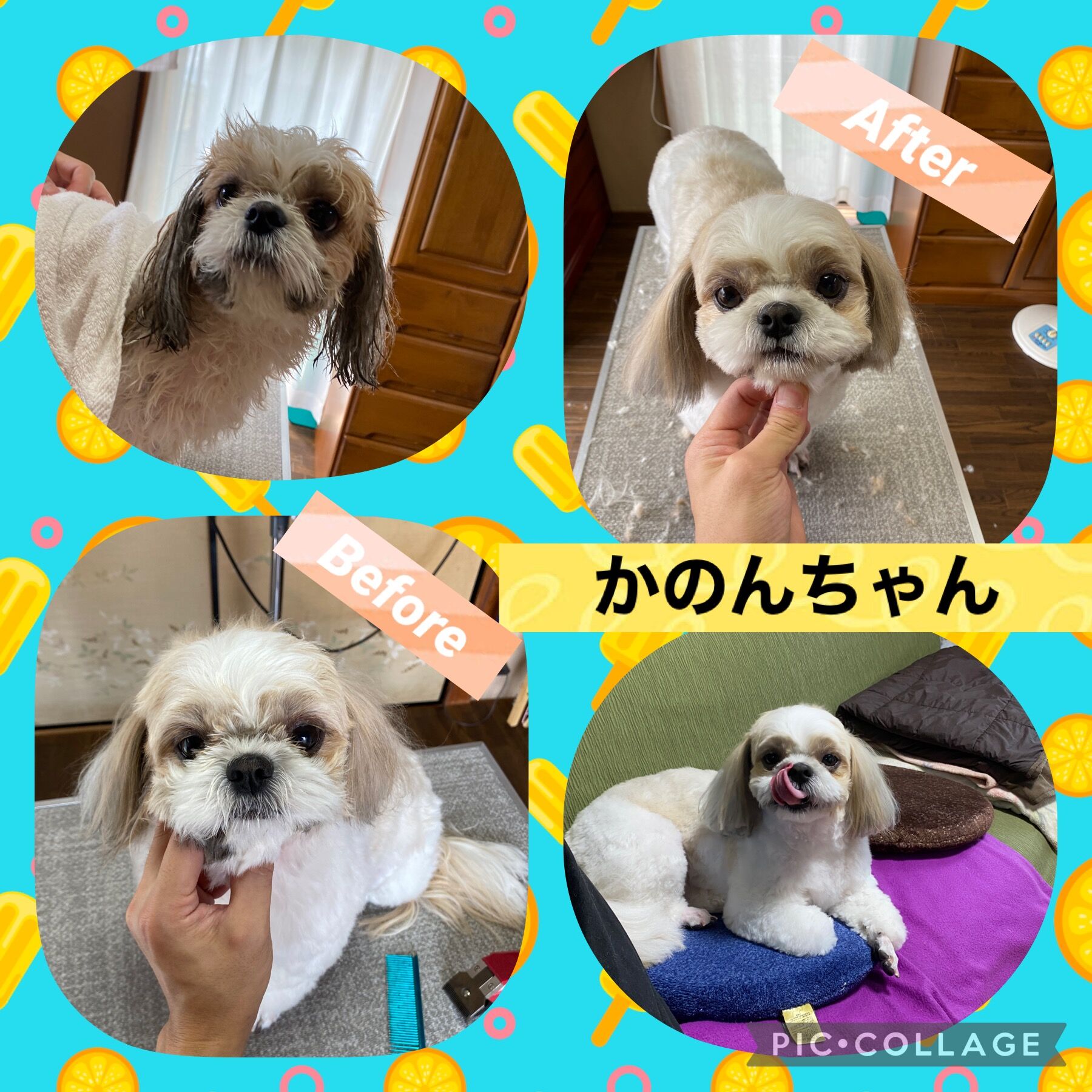 トリミング