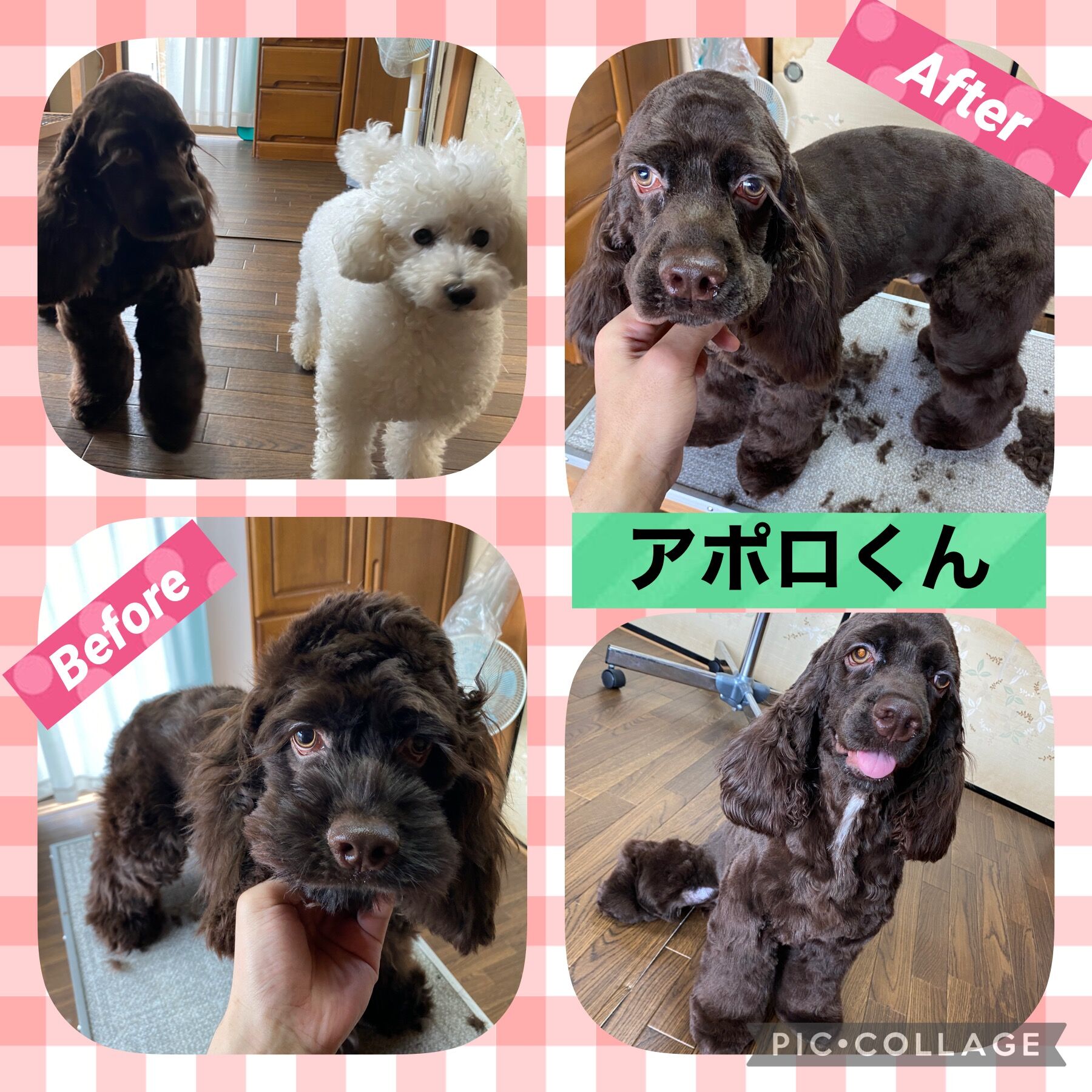 トリミング