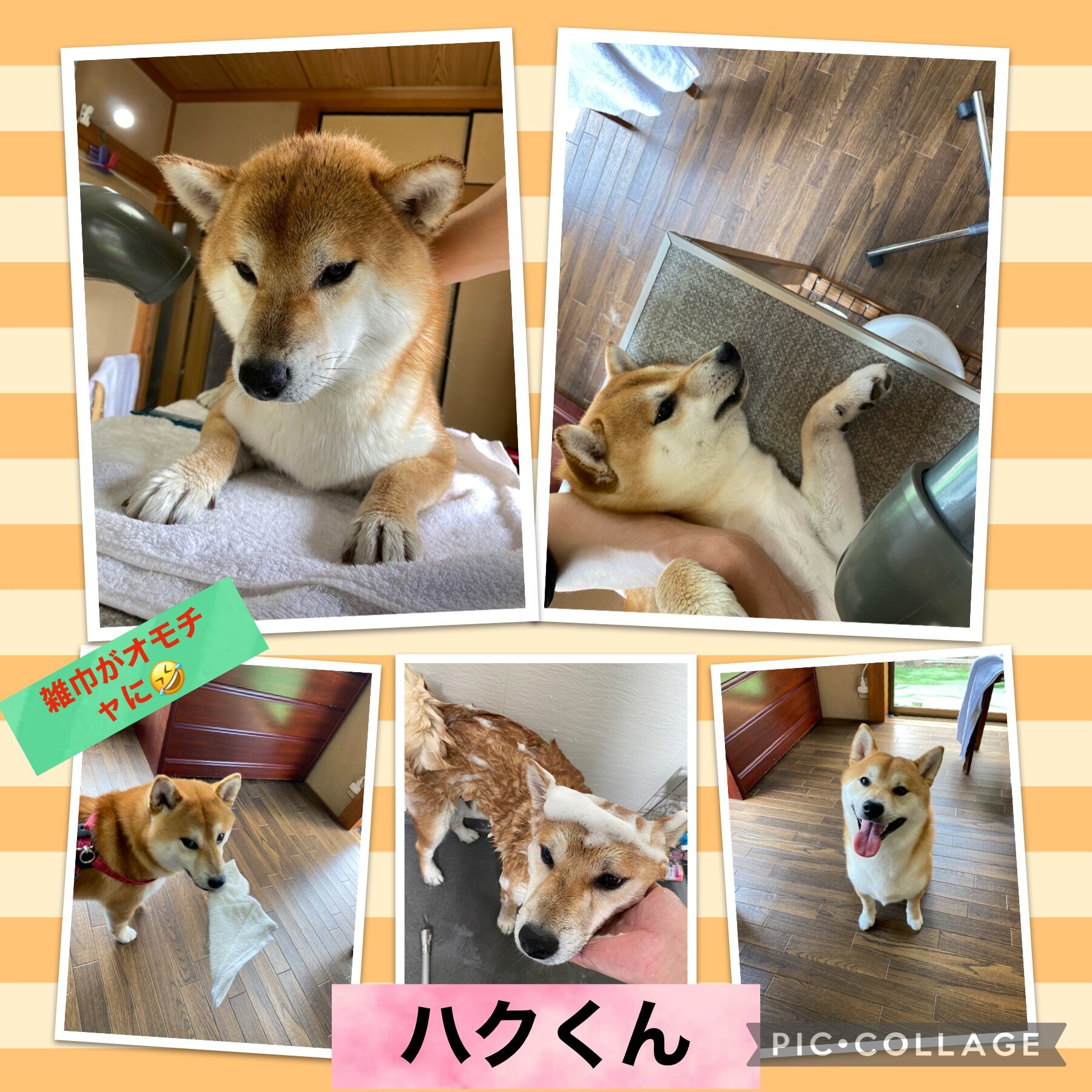 グルーミング