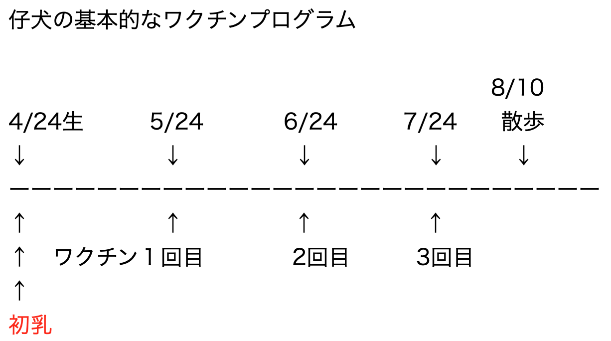 仔犬