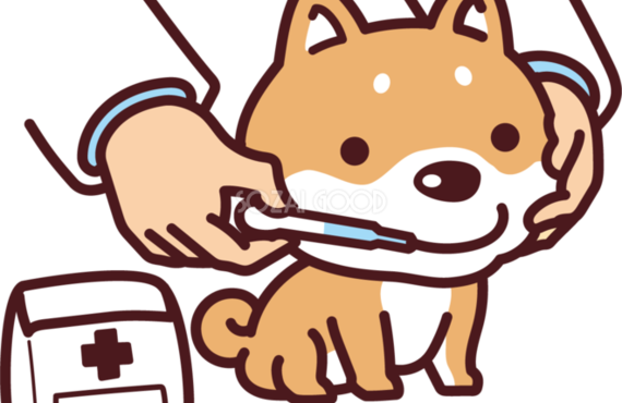 犬の心臓の病気、春日部トリミングサロンpalm