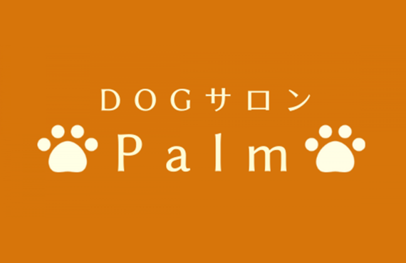 犬の耳掃除におすすめなのは耳洗浄です