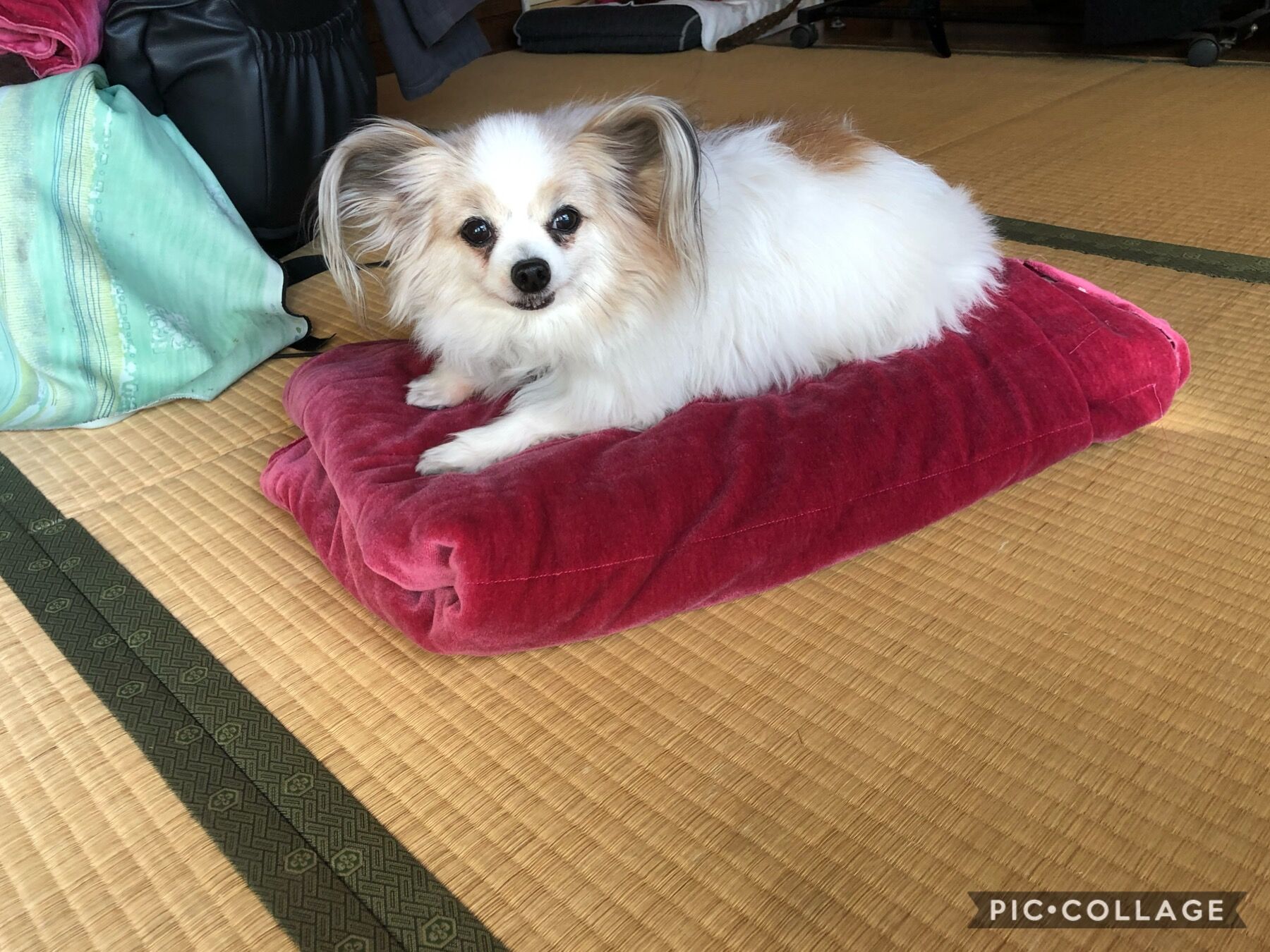 春日部